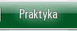 Praktyka