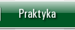 Praktyka